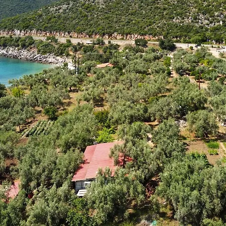 Σπίτι διακοπών House Within An Olive Farm