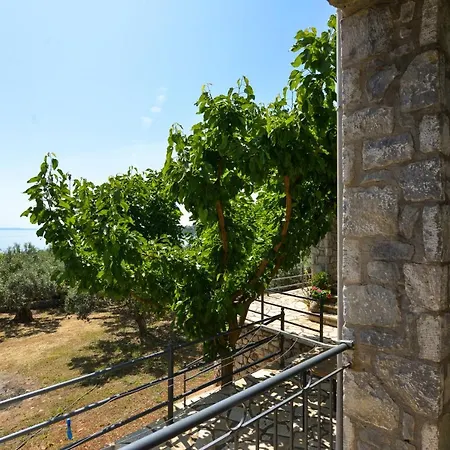 House Within An Olive Farm *